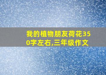 我的植物朋友荷花350字左右,三年级作文