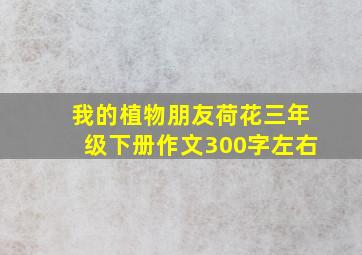 我的植物朋友荷花三年级下册作文300字左右