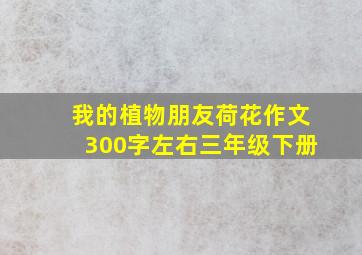 我的植物朋友荷花作文300字左右三年级下册