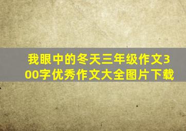 我眼中的冬天三年级作文300字优秀作文大全图片下载