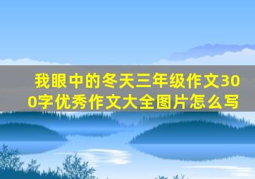 我眼中的冬天三年级作文300字优秀作文大全图片怎么写