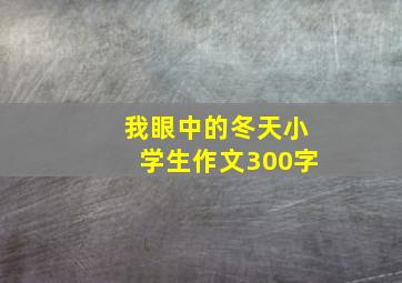 我眼中的冬天小学生作文300字