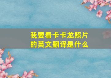 我要看卡卡龙照片的英文翻译是什么