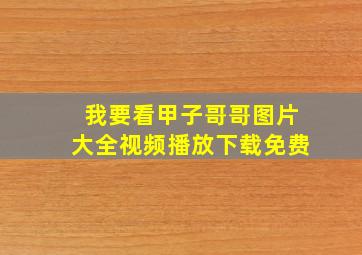 我要看甲子哥哥图片大全视频播放下载免费