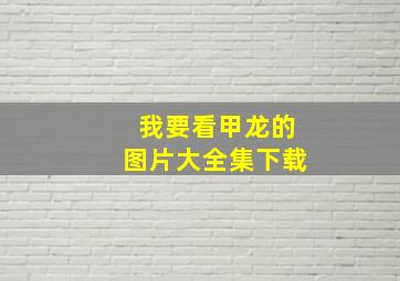 我要看甲龙的图片大全集下载