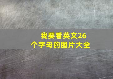 我要看英文26个字母的图片大全