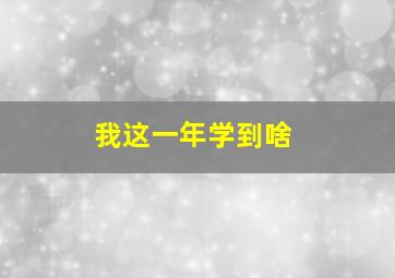 我这一年学到啥