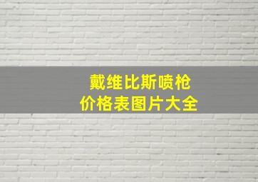 戴维比斯喷枪价格表图片大全