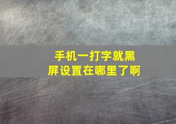 手机一打字就黑屏设置在哪里了啊