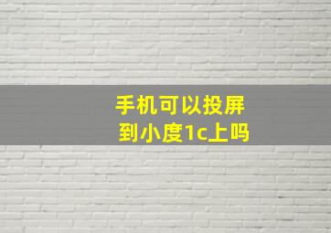 手机可以投屏到小度1c上吗