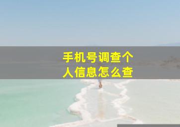 手机号调查个人信息怎么查