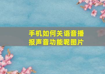 手机如何关语音播报声音功能呢图片