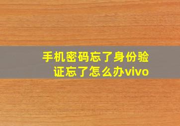 手机密码忘了身份验证忘了怎么办vivo