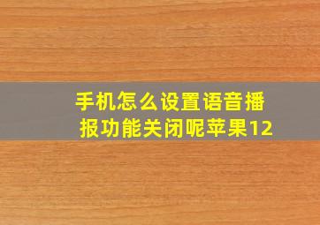 手机怎么设置语音播报功能关闭呢苹果12