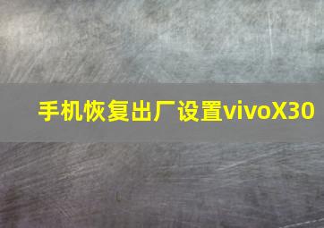 手机恢复出厂设置vivoX30