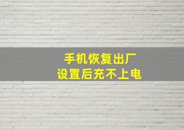 手机恢复出厂设置后充不上电