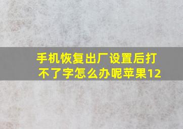 手机恢复出厂设置后打不了字怎么办呢苹果12