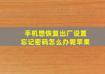 手机想恢复出厂设置忘记密码怎么办呢苹果