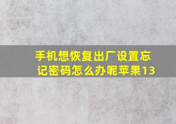 手机想恢复出厂设置忘记密码怎么办呢苹果13