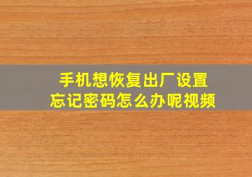 手机想恢复出厂设置忘记密码怎么办呢视频