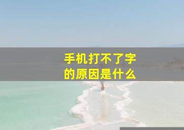 手机打不了字的原因是什么