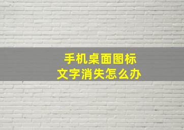 手机桌面图标文字消失怎么办