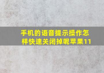 手机的语音提示操作怎样快速关闭掉呢苹果11