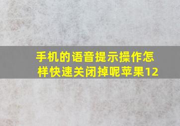 手机的语音提示操作怎样快速关闭掉呢苹果12