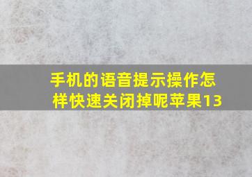 手机的语音提示操作怎样快速关闭掉呢苹果13