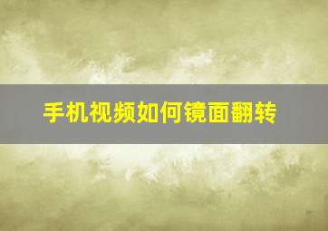 手机视频如何镜面翻转