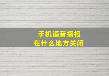 手机语音播报在什么地方关闭