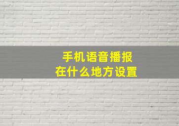 手机语音播报在什么地方设置