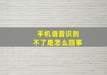 手机语音识别不了是怎么回事