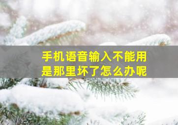 手机语音输入不能用是那里坏了怎么办呢