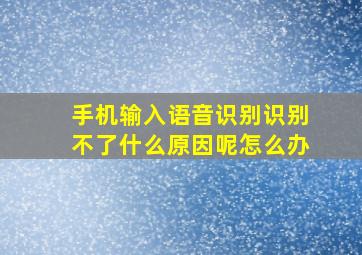 手机输入语音识别识别不了什么原因呢怎么办