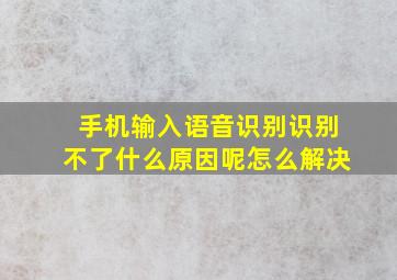 手机输入语音识别识别不了什么原因呢怎么解决