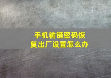 手机输错密码恢复出厂设置怎么办