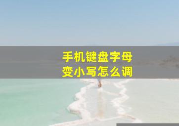 手机键盘字母变小写怎么调