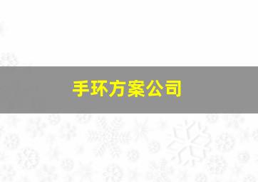 手环方案公司