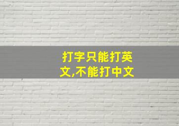 打字只能打英文,不能打中文