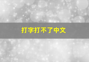 打字打不了中文