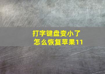 打字键盘变小了怎么恢复苹果11