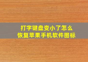 打字键盘变小了怎么恢复苹果手机软件图标