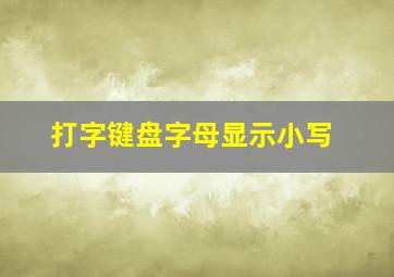 打字键盘字母显示小写