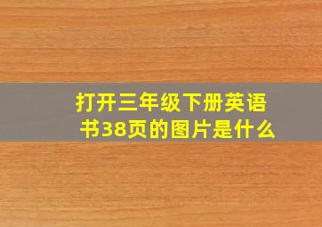 打开三年级下册英语书38页的图片是什么