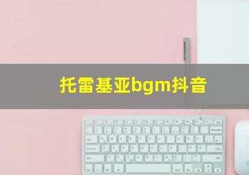 托雷基亚bgm抖音