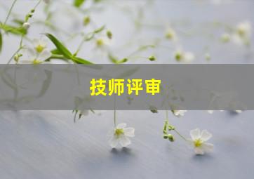 技师评审