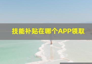 技能补贴在哪个APP领取