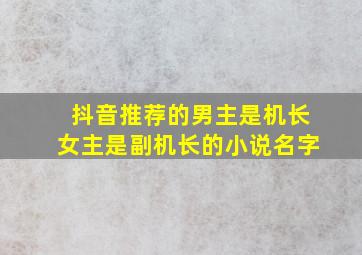 抖音推荐的男主是机长女主是副机长的小说名字