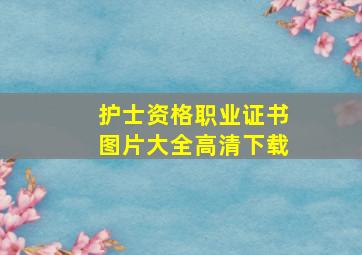 护士资格职业证书图片大全高清下载